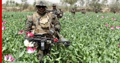 В МИД заявили о причастности разведки США к наркоторговле в Афганистане