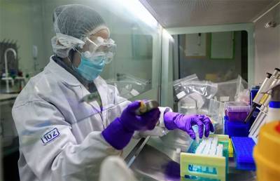 В Китае оценили риск распространения нового свиного гриппа
