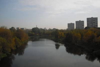 В московской реке Сходня обнаружили нефтяное пятно