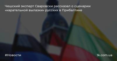 Чешский эксперт Сваровски рассказал о сценарии «карательной вылазки» русских в Прибалтике