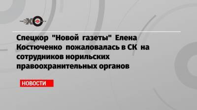 Спецкор «Новой газеты» Елена Костюченко пожаловалась в СК на сотрудников норильских правоохранительных органов