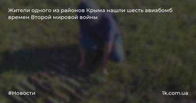 Жители одного из районов Крыма нашли шесть авиабомб времен Второй мировой войны
