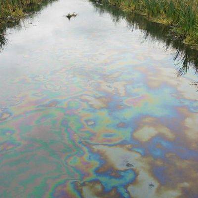 Пятно из нефтепродуктов обнаружили в реке Сходне в Москве