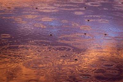 Откуда взялось нефтяное пятно на реке Сходне в Москве