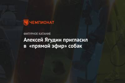 Алексей Ягудин пригласил в «прямой эфир» собак