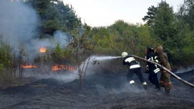 МЧС оказало помощь в тушении природного пожара под Красноярском
