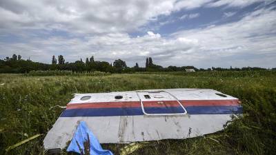 Эксперт прокомментировал слушания по делу MH17