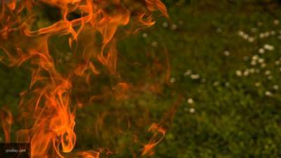 Мощный природный пожар возник в непроходимой чаще леса под Красноярском
