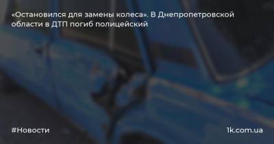 «Остановился для замены колеса». В Днепропетровской области в ДТП погиб полицейский
