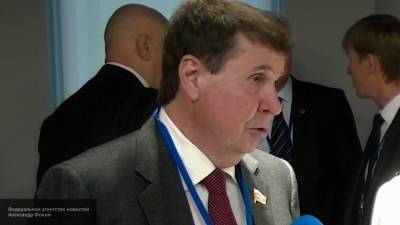 Сенатор Цеков заявил о правомерности России в выдвижении требований Украине