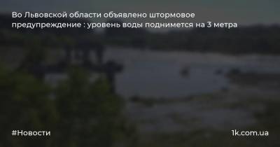Во Львовской области объявлено штормовое предупреждение : уровень воды поднимется на 3 метра
