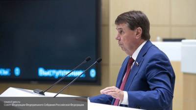 Сенатор Цеков объяснил, почему Россия имеет право выдвигать свои требования Украине