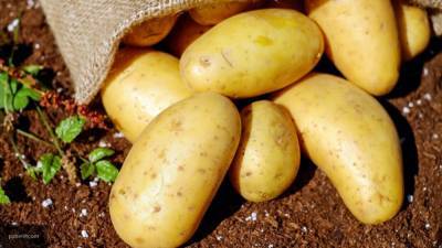 Трехмесячный карантин превратил молодой картофель в "картошку-мутант"
