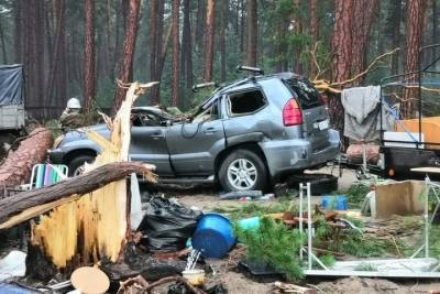 Погиб турист: ночью ураган повалил деревья на палатки спящих людей