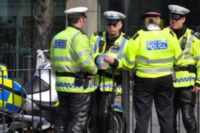 В Лондоне 11 полицейских получили травмы из-за слишком бурной вечеринки