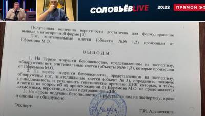 Соловьев показал заключение экспертизы по ДТП с Ефремовым