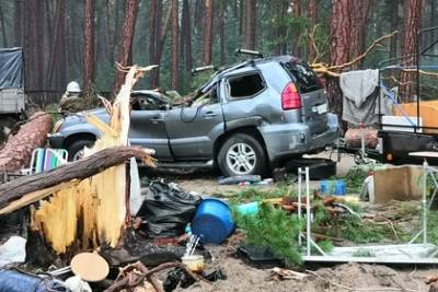 В российском городе ураган разрушил палаточный городок и повалил деревья