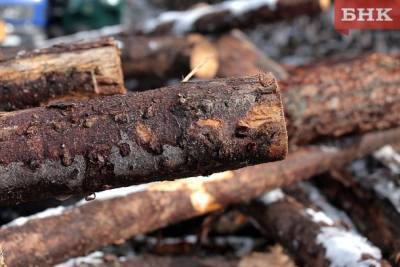 В Прилузском районе возбудили уголовное дело о незаконной рубке леса