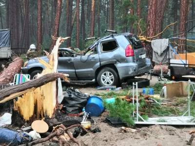 В Красноярском крае ураган повалил деревья в палаточном лагере на спящих людей