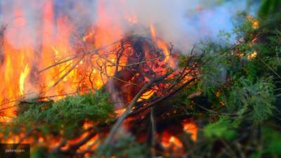 Правительство Иркутской области подтвердило ликвидацию 22 лесных пожаров