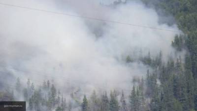 Более двух десятков лесных пожаров потушено за сутки в Иркутской области