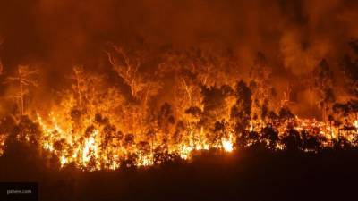 Пожарные потушили более двух гектаров горящего леса в Иркутской области