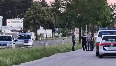 Посольство России и полиция Австрии прокомментировали убийство в Герасдорфе