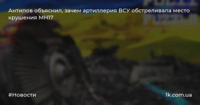 Антипов объяснил, зачем артиллерия ВСУ обстреливала место крушения MH17