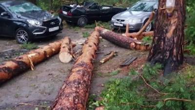 Поваленные деревья и разбитые машины: в эпицентре урагана оказался палаточный лагерь