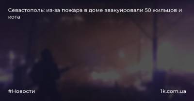 Севастополь: из-за пожара в доме эвакуировали 50 жильцов и кота