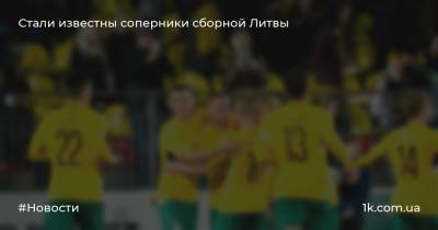 Стали известны соперники сборной Литвы