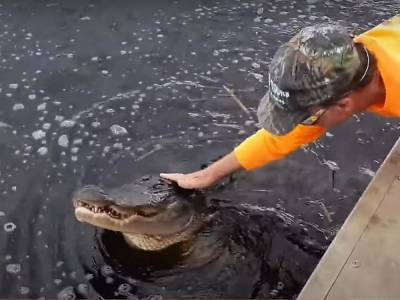 Американский экстремал подружился с самкой крокодила