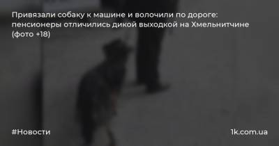 Привязали собаку к машине и волочили по дороге: пенсионеры отличились дикой выходкой на Хмельнитчине (фото +18)