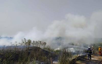 В Днепропетровской области вспыхнул пожар в экосистеме