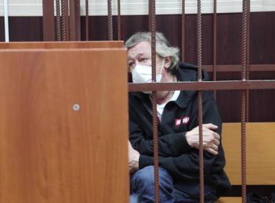 Адвокат Михаила Ефремова прокомментировал слухи об эпилепсии актера