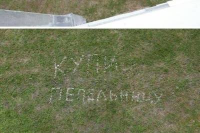 В Рыбинске жильцы многоэтажки оставили своему соседу сообщение на газоне под окнами