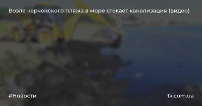 Возле керченского пляжа в море стекает канализация (видео)