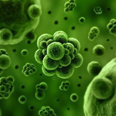 Итальянские ученые обнаружили два разных штамма коронавируса на севере страны