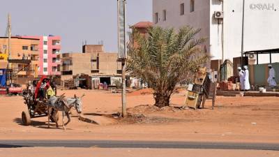 Колташов раскрыл роль США в падении доходов граждан Судана