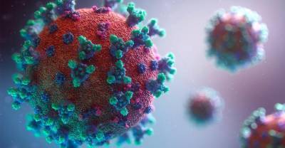 Аnti-colorados: Вирус оказался удивительно стойким