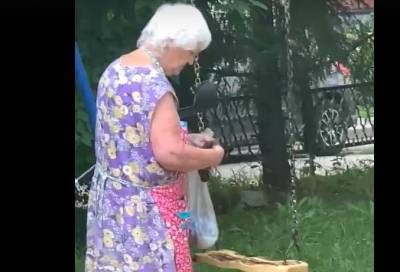 Видео: пенсионерка испачкала детские качели фекалиями в одном из дворов Гатчины