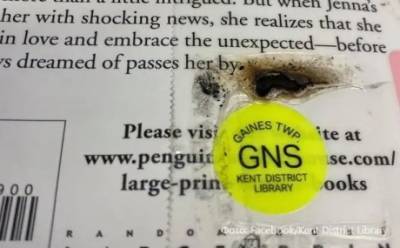 Американцев призвали не «обеззараживать» библиотечные книги в микроволновках - enovosty.com - США - шт. Мичиган