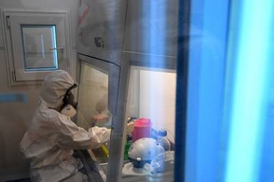 Оценена опасность вспышки бубонной чумы в Китае и Монголии для России