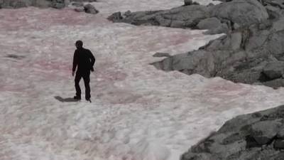 Розовый снег в итальянских Альпах