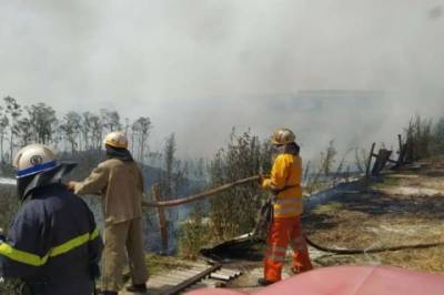 В Днепропетровской области произошло возгорание в экосистеме