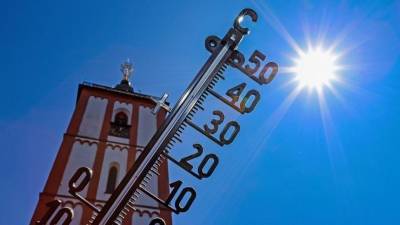 В каких регионах России ожидают аномальную жару?