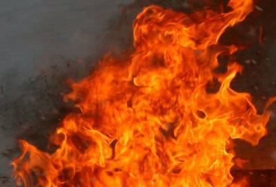 В Кингисеппском районе в пожаре пострадал пенсионер