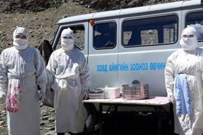 Вспышка бубонной чумы зафиксирована в западной Монголии, граничащей с Алтаем и Тывой