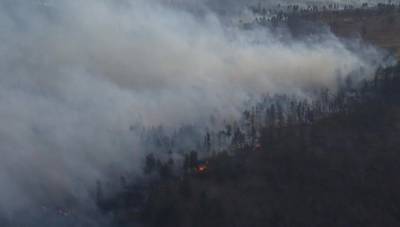 На Камчатке существенно сократилась площадь лесных пожаров