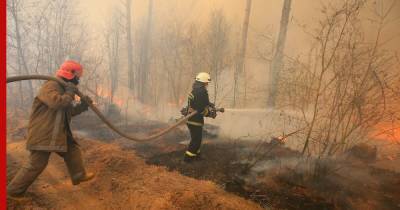 На Камчатке удалось потушить 35 тысяч га лесных пожаров
